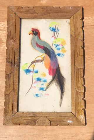 Vintage Colorful Mexican Feather Craft Bird Picture,  Carved Wood Frame 1962