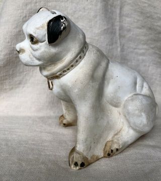 Rare Vintage Carnival Chalkware Bank Dog Bull Terrier Bulldog Jack Russell Pug?