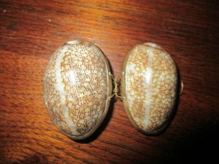 Unusual Vintage Pill Box Made From Real Sea Shells With Brass Trim,  Hinge,  Clasp