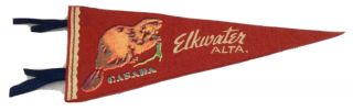 Vintage 1950 - 60’s Elkwater Alberta 14” Red Felt Pennant W Beaver Graphics A,
