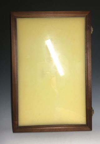 Vintage Glass Wood & Brass Display Case Shadow Box Wall