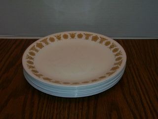 Set Of 6 Vintage Corelle Corning " Butterfly Gold " Luncheon Plates Retro