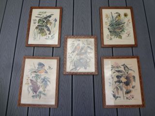 5 Vtg Arthur Singer Arts & Crafts Mission Frames Bird Wall Art Painting Prints