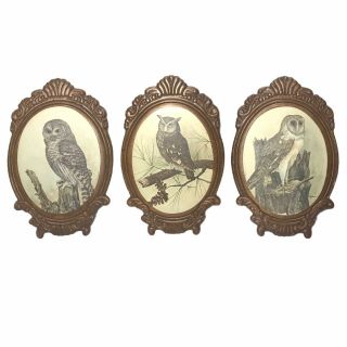 Vintage Owl Wall Plaques Set Oval Carved Wood E.  Rambow Prints 3 Pictures