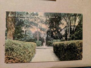 Vintage Postcard Glimpse Of Fountain And Hedge Columbia Sc