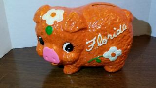 Vintage Florida Souvenir Orange Pig Bank With Flowers