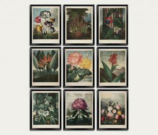 Flower Prints: Vintage 