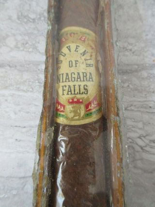 Antique Vintage Souvenir Of Niagara Falls Giant Cigar In Glass Box