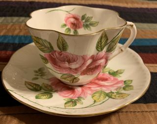 Vintage Rambler Rose Shelly Bone China Cup And Saucer