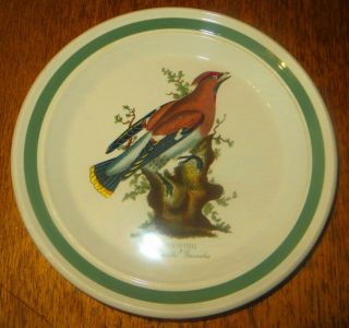 Rare Vintage Portmeirion Birds Of Britain 21.  5cm Salad Plate - Waxwing