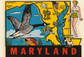 Vintage Decal Of The State Of Maryland