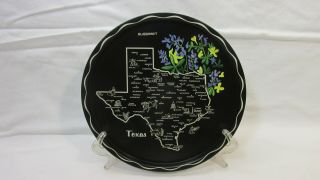Vintage Metal Texas Souvenir Tray Featuring State Flower Blue Bonnet