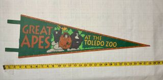 Rare Vintage 1993 Great Apes At The Toledo Zoo Ohio Felt Pennant Souvenir