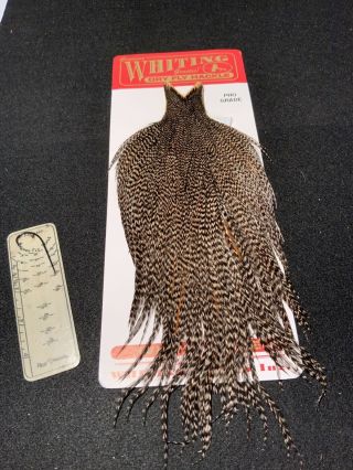 Vintage Whiting Farms Pro Grade Cape Grizzly Variant Feathers Fly Tying