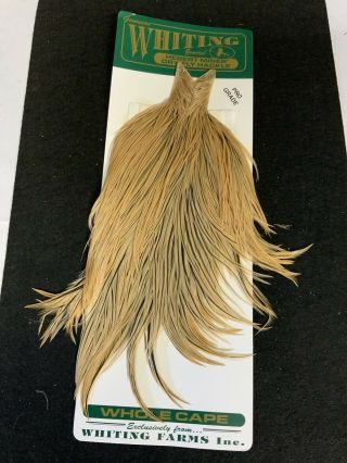 Vintage Whiting Farms Pro Grade Herbert Cape Feathers Fly Tying