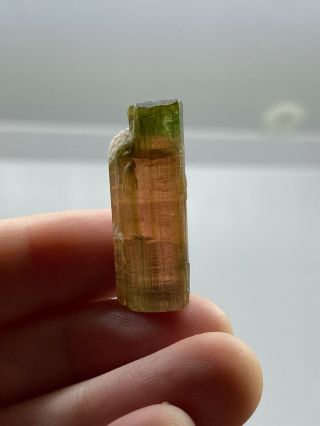 Bi - Color Tourmaline Gemstone Crystal - 9.  2 Grams - Vintage Estate Find