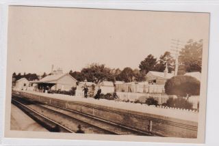 Vintage Postcard Blue Mountains Railway Station Nsw 1900s