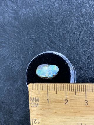 Lovely Polished Boulder Opal Cabochon In Gem Jar - 2.  75ct - Vintage Estate Find