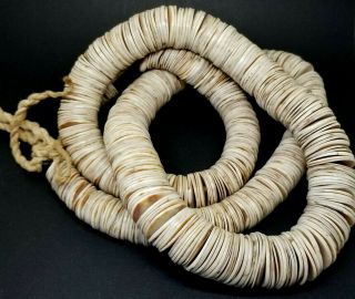 Large 36 " Strand Of Vintage Shell Heishi Beads 15mm - 22mm
