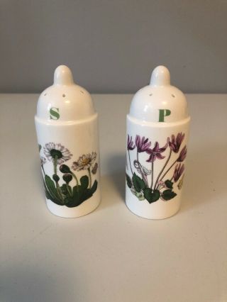 Vintage Portmeirion Botanic Garden Salt & Pepper Shaker Set