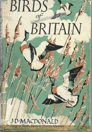 Vintage Book: Birds Of Britain By J D Macdonald (1949) - Fast With P&p