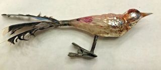Vintage Antique Mercury Glass Bird Clip - On Christmas Ornament Real Feathers