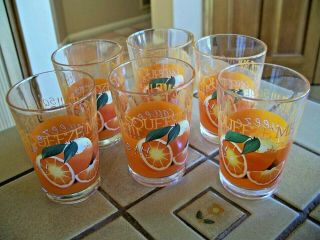 Vintage Set Of 6 Crate & Barrel Squeeze Me Orange Juice 6 Oz Glasses