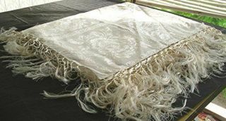 Vtg Pale Ivory Floral Damask Bedspread W/hand Tied Fringe Made In Italy 91 X 97