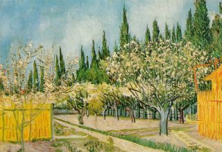 Vintage Postcard 1990s Vincent Van Gogh Orchard Surrounded By Cypresses 1888 Art