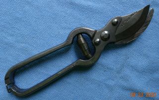 Vintage Penn Tool Co.  9 " Pruning Shear Volute Spring Locking Handles Fairly Sharp