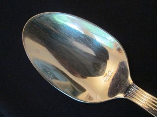 SOUP or PLACE SPOON Vintage FORTUNOFF stainless: FTU5 pattern: LOVELY 2