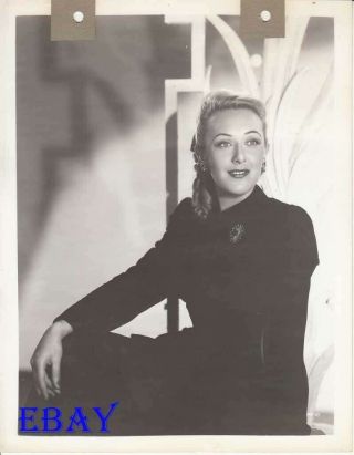 Ann Dvorak Sits On A Chair Vintage Photo