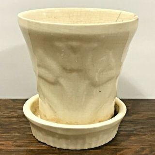 Vintage Small Mccoy Pottery Tulip Planter Ivory White 3.  5 "