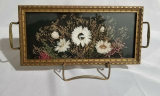 Vintage Dried Pressed Flower Handled Tray Under Glass 11 " X 4.  75 "
