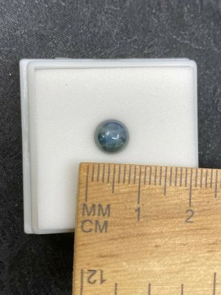 Lovely Round Diff Blue Star Sapphire In Jtv Gem Jar - 2.  25ct - Vintage Estate Find