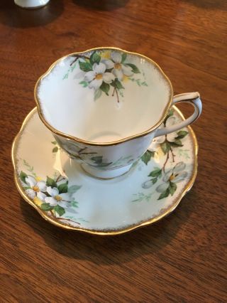Vintage Teacup And Saucer White Dogwood Pattern By Royal Albert