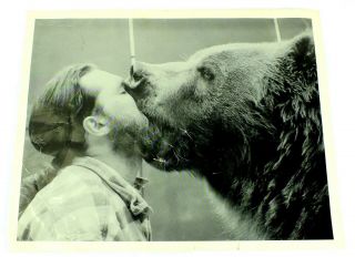 Vintage Black & White Photography Stunt Movie Grizzly Photo Bart The Bear
