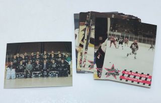 Vintage Roanoke Express 1993 - 94 Ice Hockey Team Trading Card Set