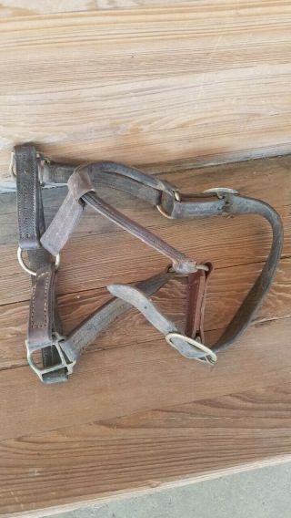 Horse Halter Vintage Stitched Leather Rustic,  Pre - Owned For Use Or Decoration