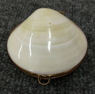 Vintage Real Clam Sea Shell Hinged Pill Trinket Box
