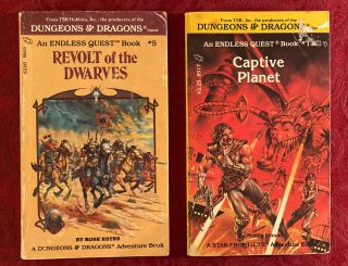 Set Of 2 Vintage 1983/1984 Dungeons & Dragons Books: An Endless Quest Books 5&17