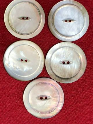 5 Large Vintage Shell,  Mother Of Pearl Buttons,  2 - Hole,  1 7/16 Inch In Diameter