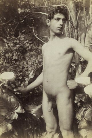 Study Of A Male Nude,  Baron Wilhelm Von Gloeden 1890s,  Vintage Photo (reprint)