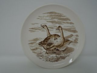 Vintage Brown Copeland Spode Wild Geese No.  10 Plate