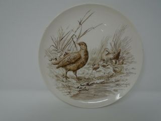 Vintage Brown Copeland Spode Partridge No.  5 Plate