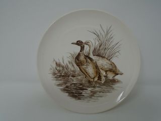 Vintage Brown Copeland Spode Wild Duck No.  8 Plate
