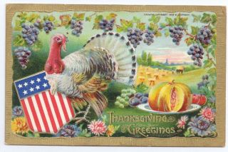 Vintage Patriotic Thanksgiving Postcard Turkey Flag Shield B.  Hofmann Embossed
