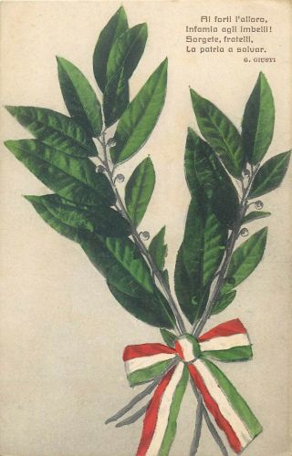 Italia Italy Patriotic Poem G.  Giusti Flowers Vintage Postcard Poesia Flag
