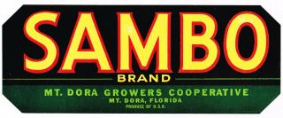 Florida Orange Citrus Crate Label 1940s Vintage Scarce Sambo Growers