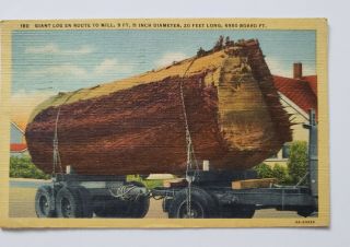 Vintage Washington Postcard Port Angeles Giant Log
